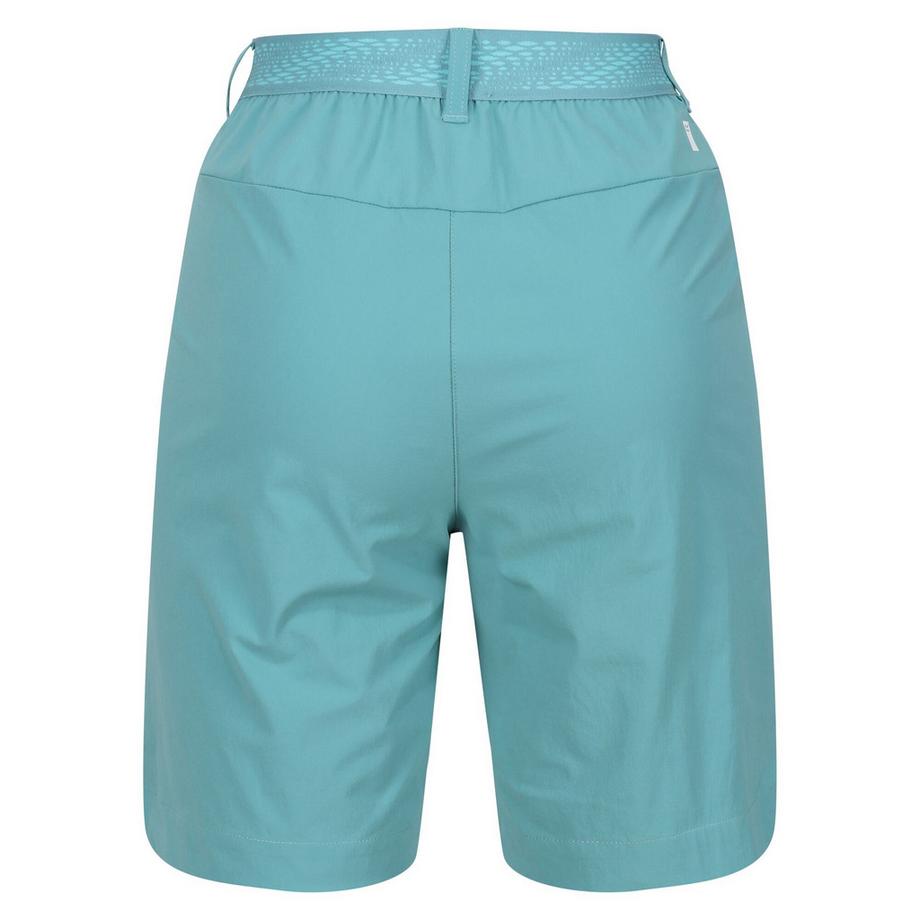 Regatta  Mountain II Shorts 