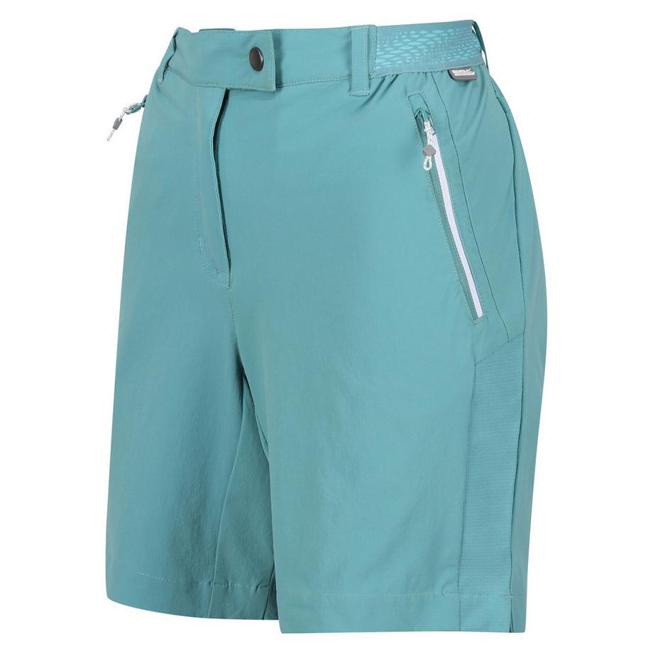 Regatta  Mountain II Shorts 