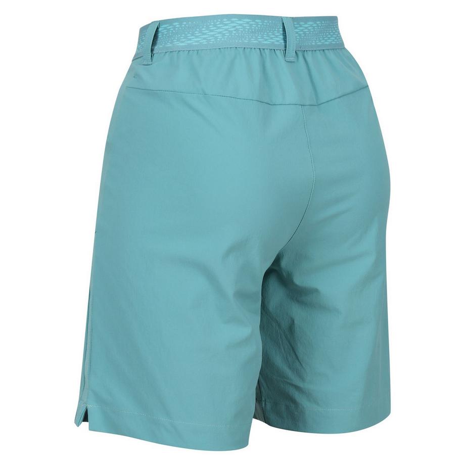 Regatta  Mountain II Shorts 