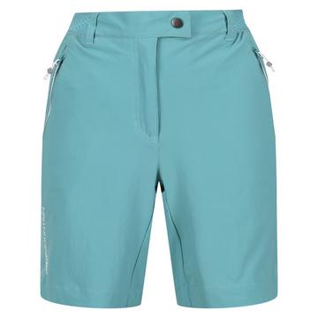 Mountain II Shorts