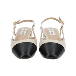 STEVE MADDEN  Ballerinas Belinda  SM11002823 