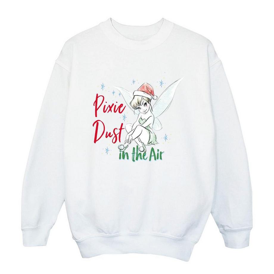 Disney  Sweat PIXIE DUST 