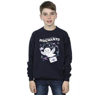 Harry Potter  Letter From Hogwarts Sweatshirt 