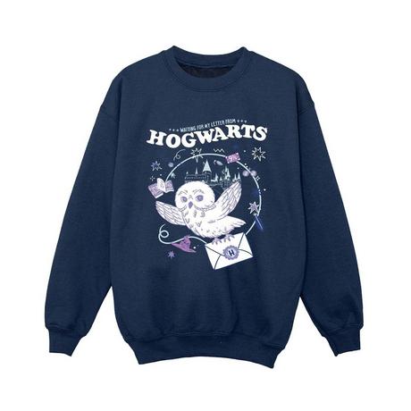 Harry Potter  Letter From Hogwarts Sweatshirt 