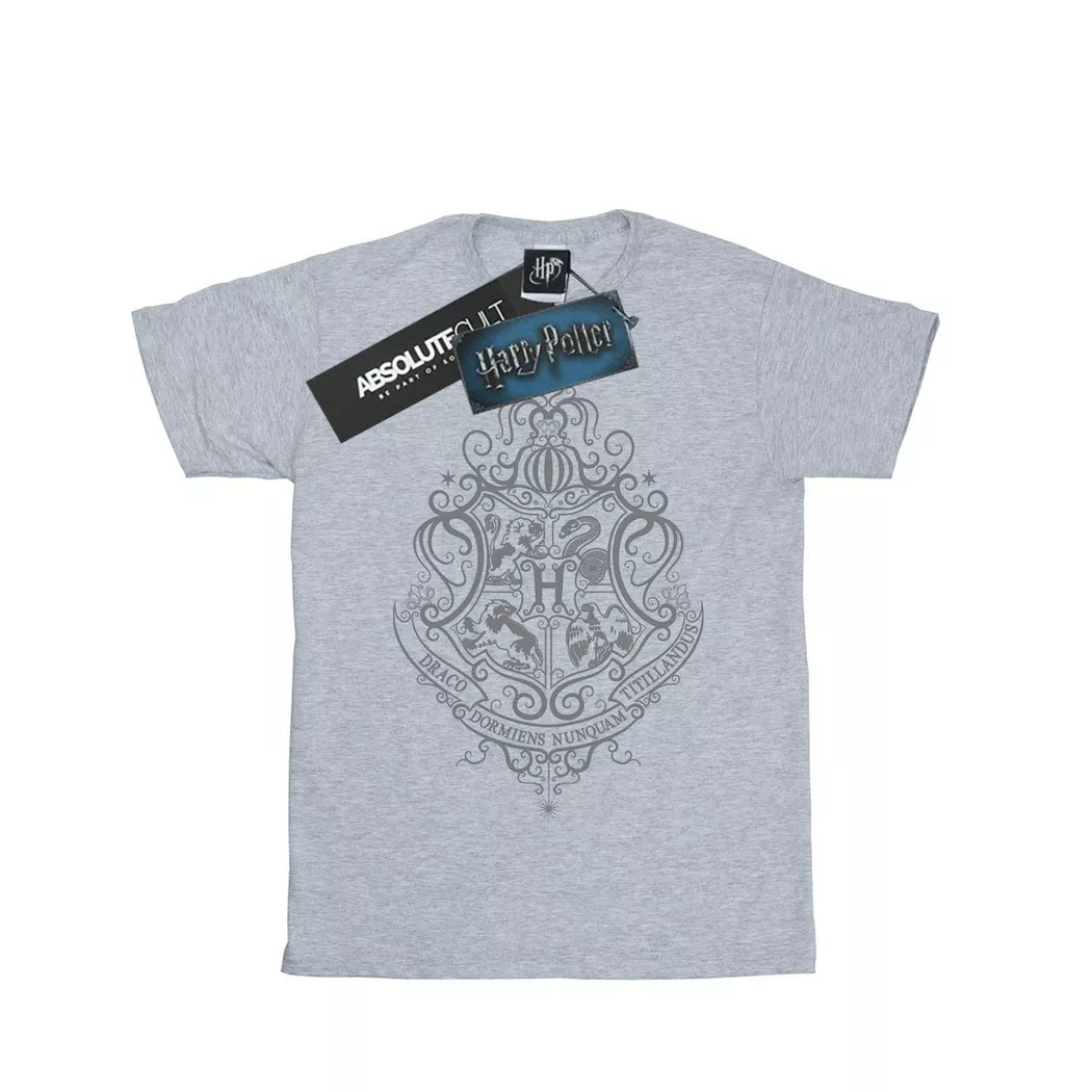 HARRY-POTTER - Hogwarts Draco Dormiens TShirt, für Herren, Grau, Größe XXL