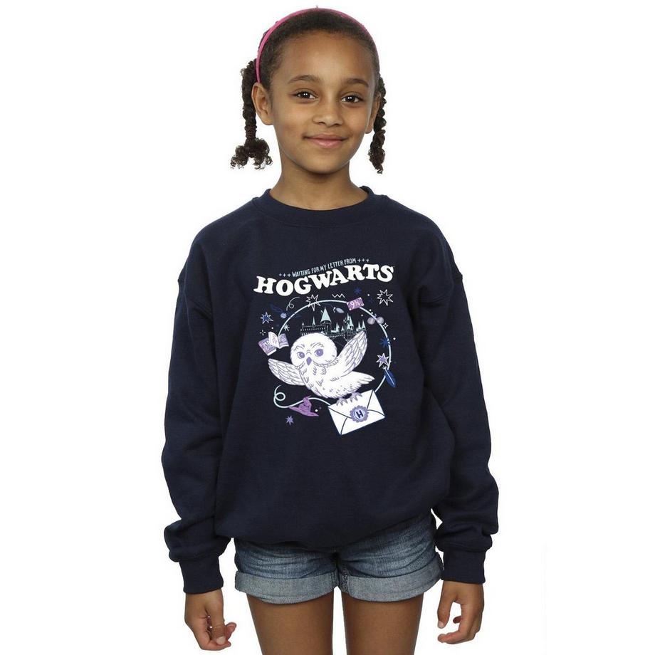 Harry Potter  Letter From Hogwarts Sweatshirt 