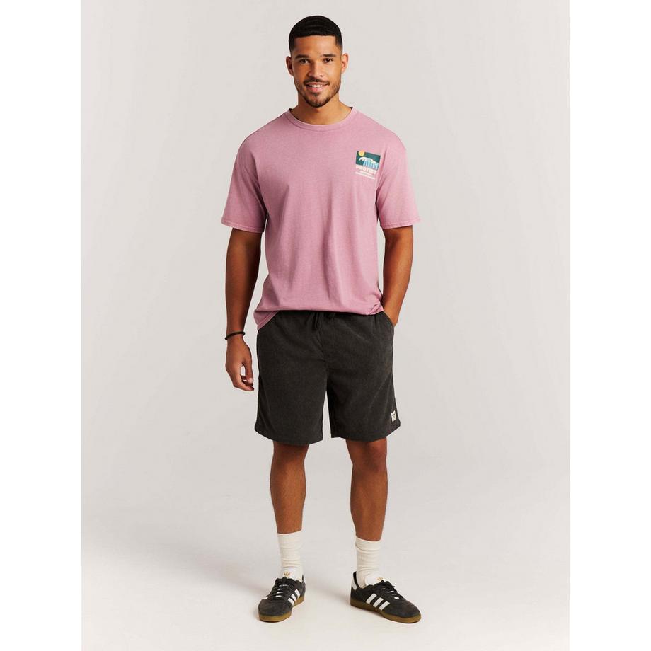 PROTEST PRTUleyo Shorts  
