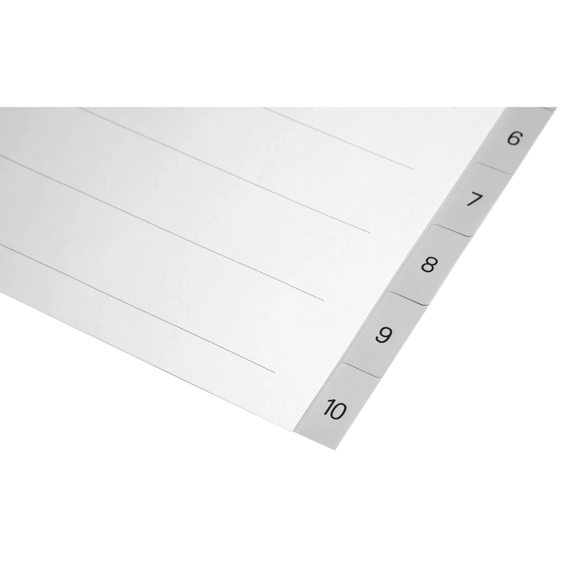 Biella BIELLA Register PP grau A4 471410.00 1-10, Vollformat  