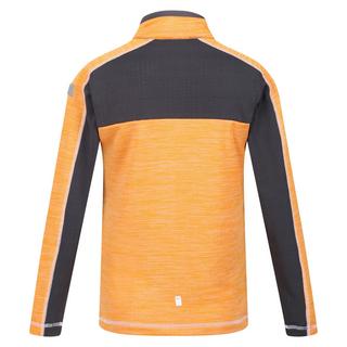 Regatta Hewley Top in pile mezza zip  