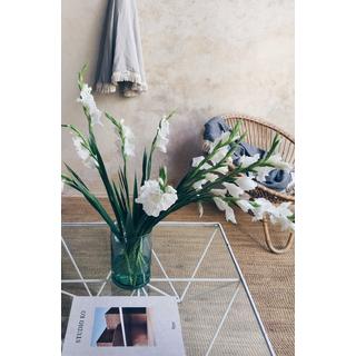 L'Anse Maguey Serviette de Plage Ronde  