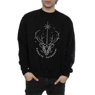 Harry Potter  Sweat EXPECTO PATRONUM 