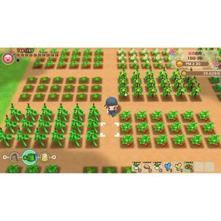 Marvelous  Story of Seasons: Friends of Mineral Town [NSW] (D) 
