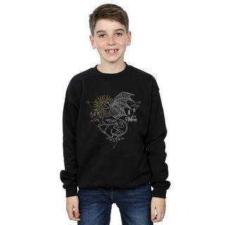 HARRY-POTTER  Sweatshirt 