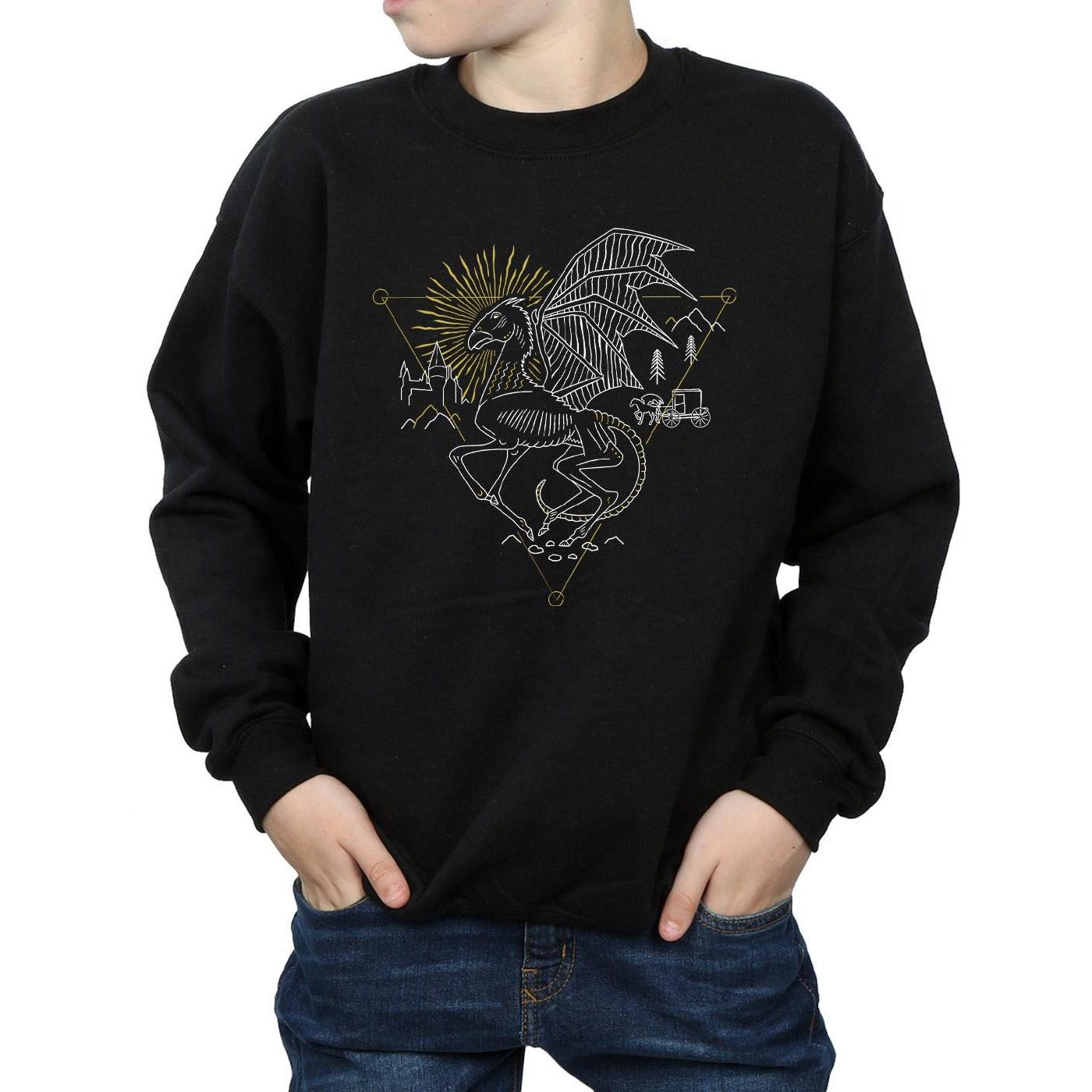 HARRY-POTTER  Sweatshirt 