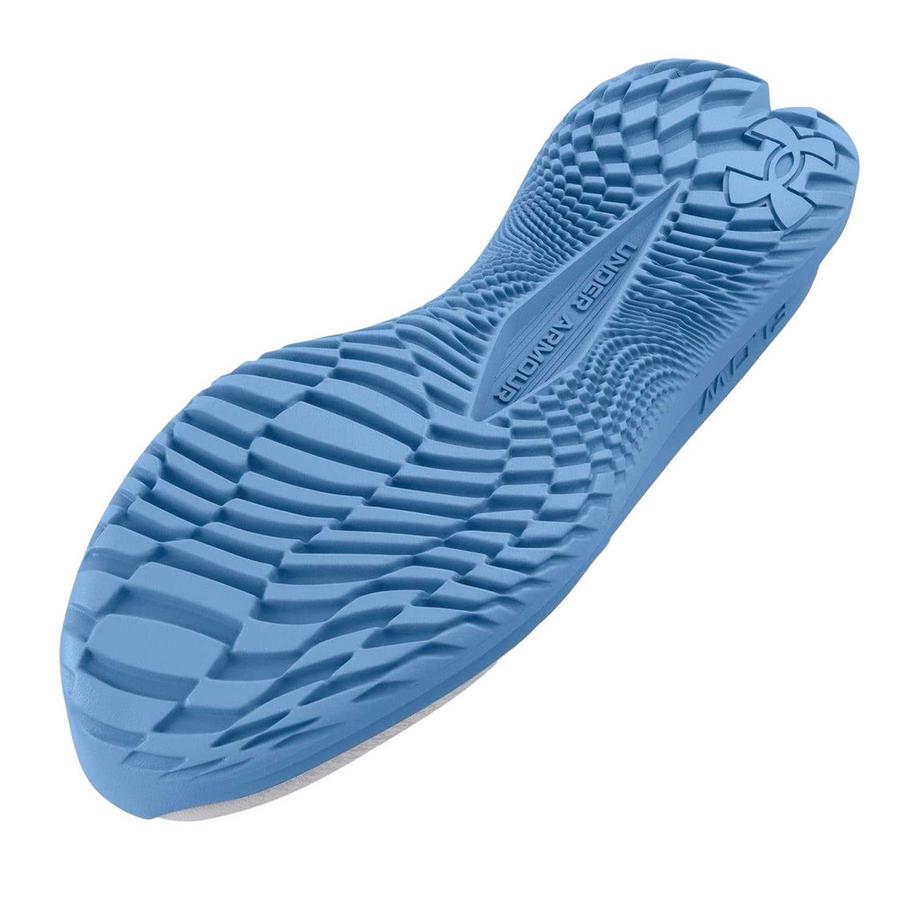 UNDER ARMOUR Scarpe da corsa Velociti 4  