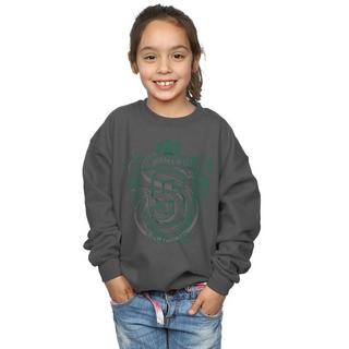 Harry Potter  Slytherin Sweatshirt 