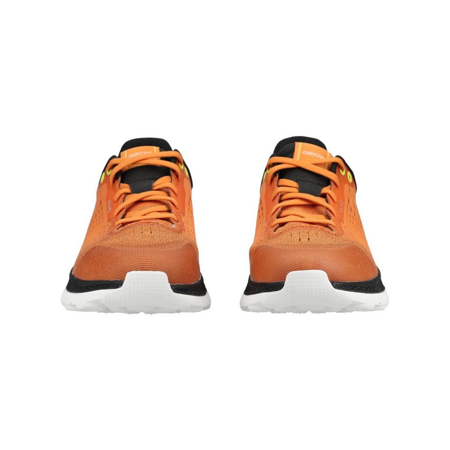 GEOX Sneaker  