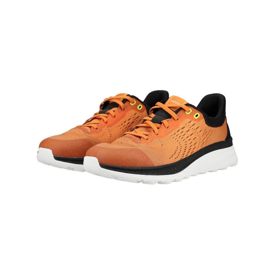 GEOX Sneaker  