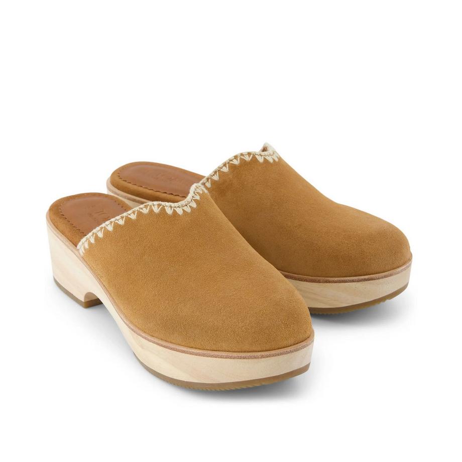 TOMS Sabot Addison  