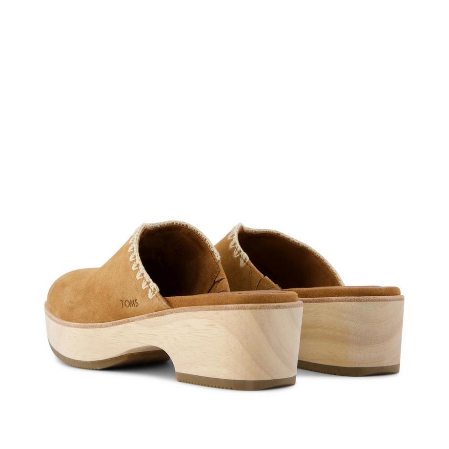 TOMS Sabot Addison  