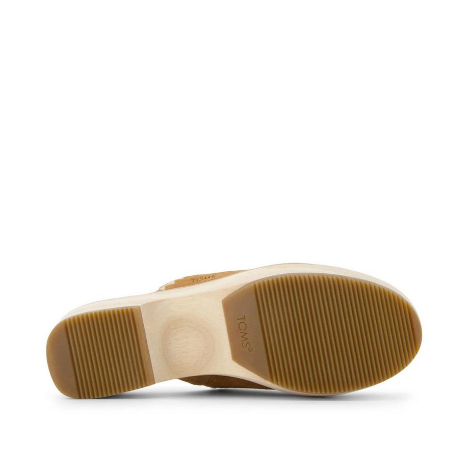 TOMS Sabot Addison  