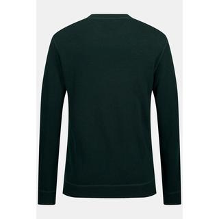 JP1880 Pull en laine mélangée Col rond avec détails  