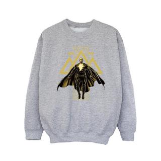 DC COMICS  Sweatshirt 