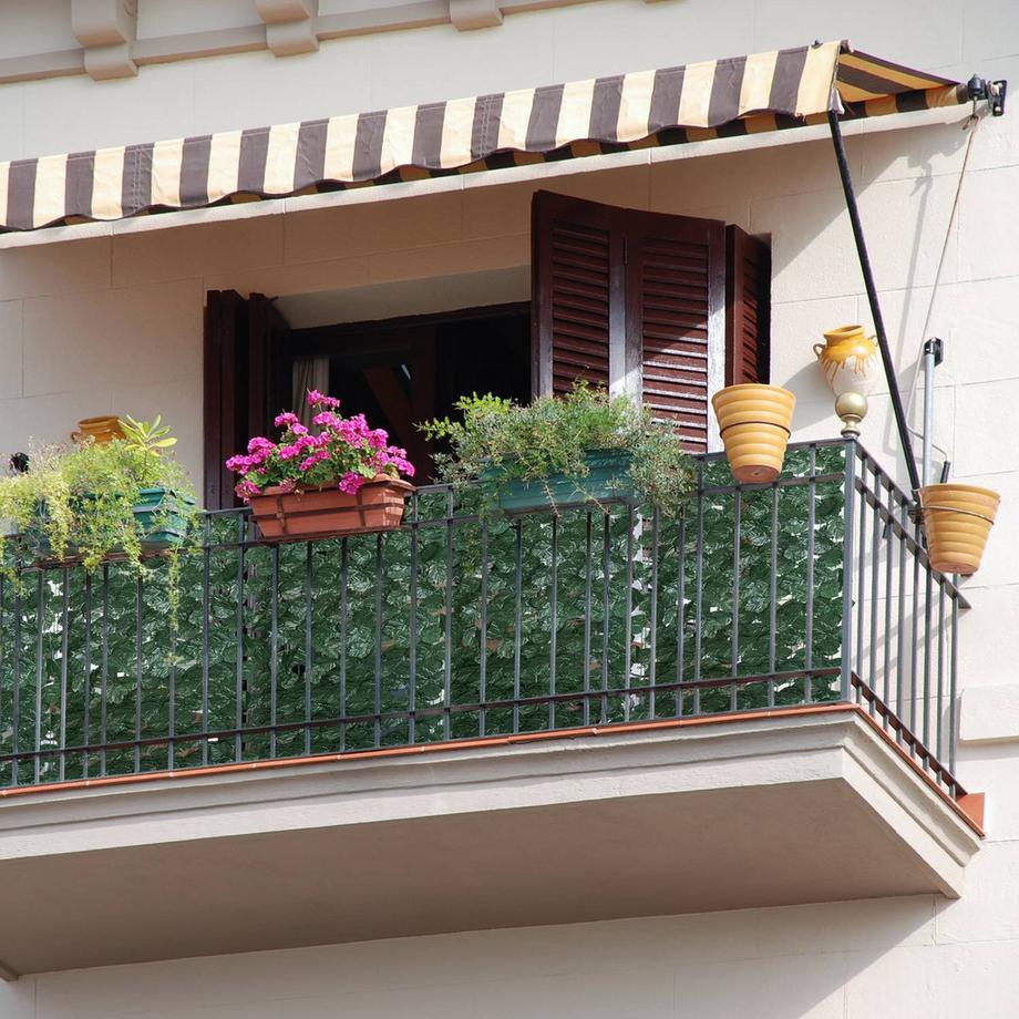 Northix Schermo per la privacy in edera, set da 12  