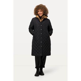 Ulla Popken  2-in-1-Steppjacke, extra Softshelleinsatz, Strickkragen 