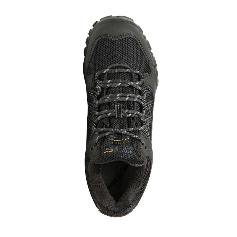 Regatta Edgepoint III Walkingschuhe  