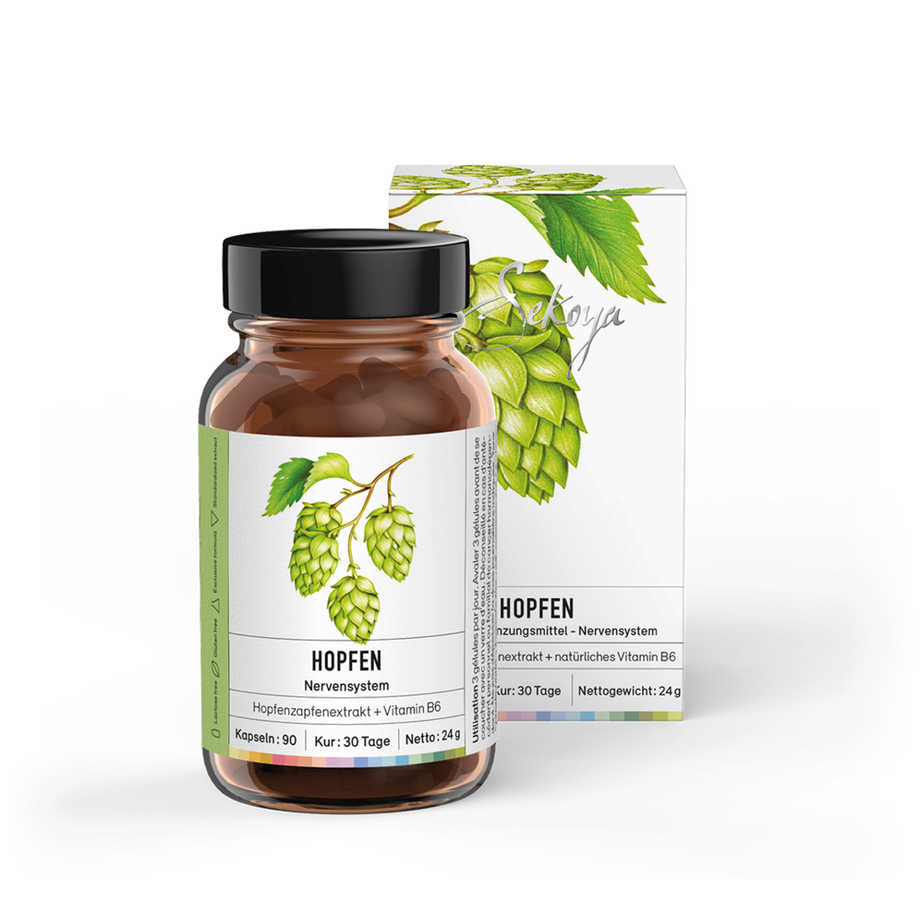 Hopfen | Beruhigend und entspannend, für besseren Schlaf
