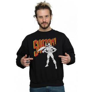 DC COMICS  Sweat 