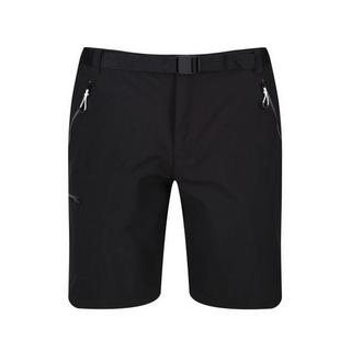 Regatta  Xert III Shorts 