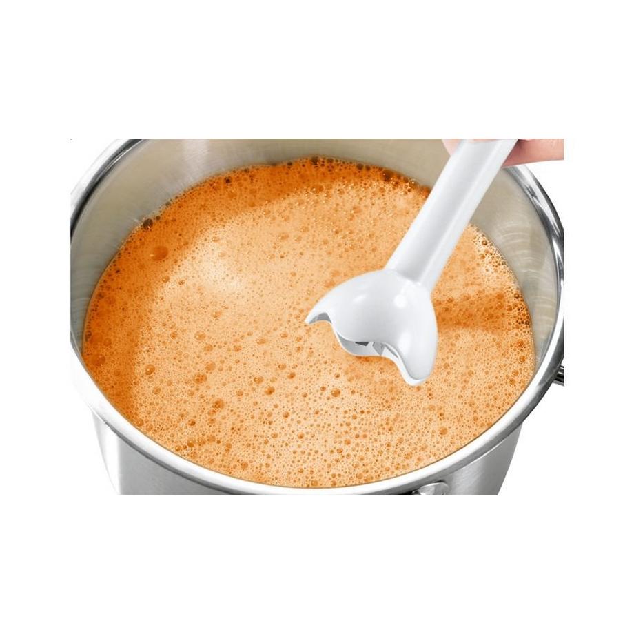 Bosch Haushalt Bâton mixeur  