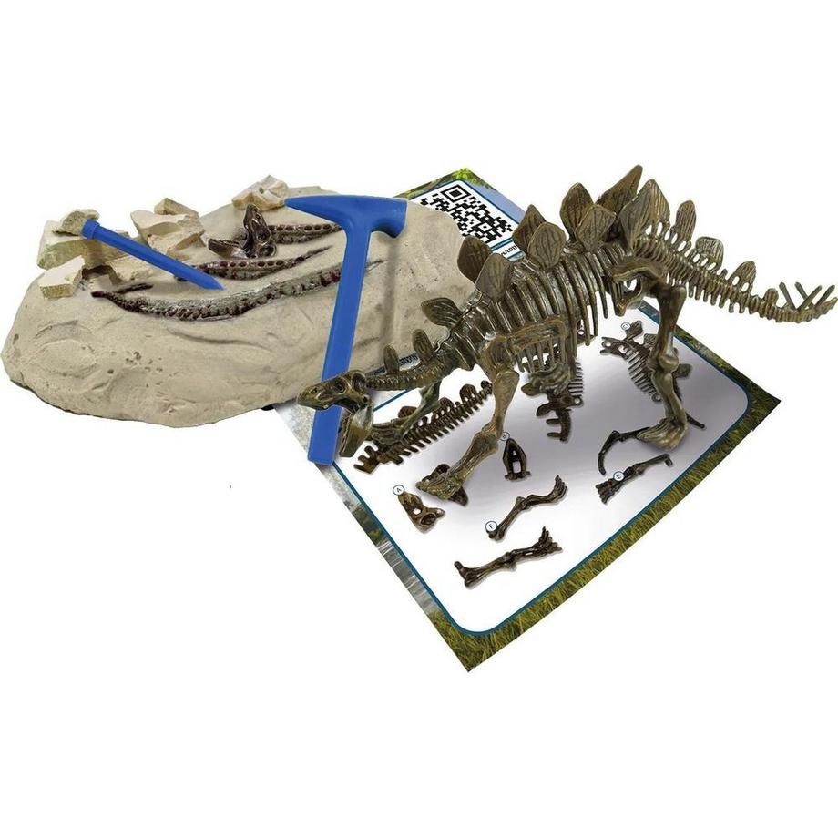 SCIENCE4YOU  Ausgrabungs-Kit Stegosaurus 