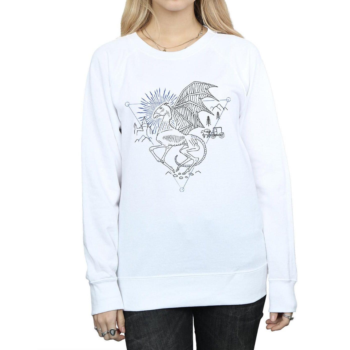 Harry Potter Thestral Regular Fit Sweatshirt  