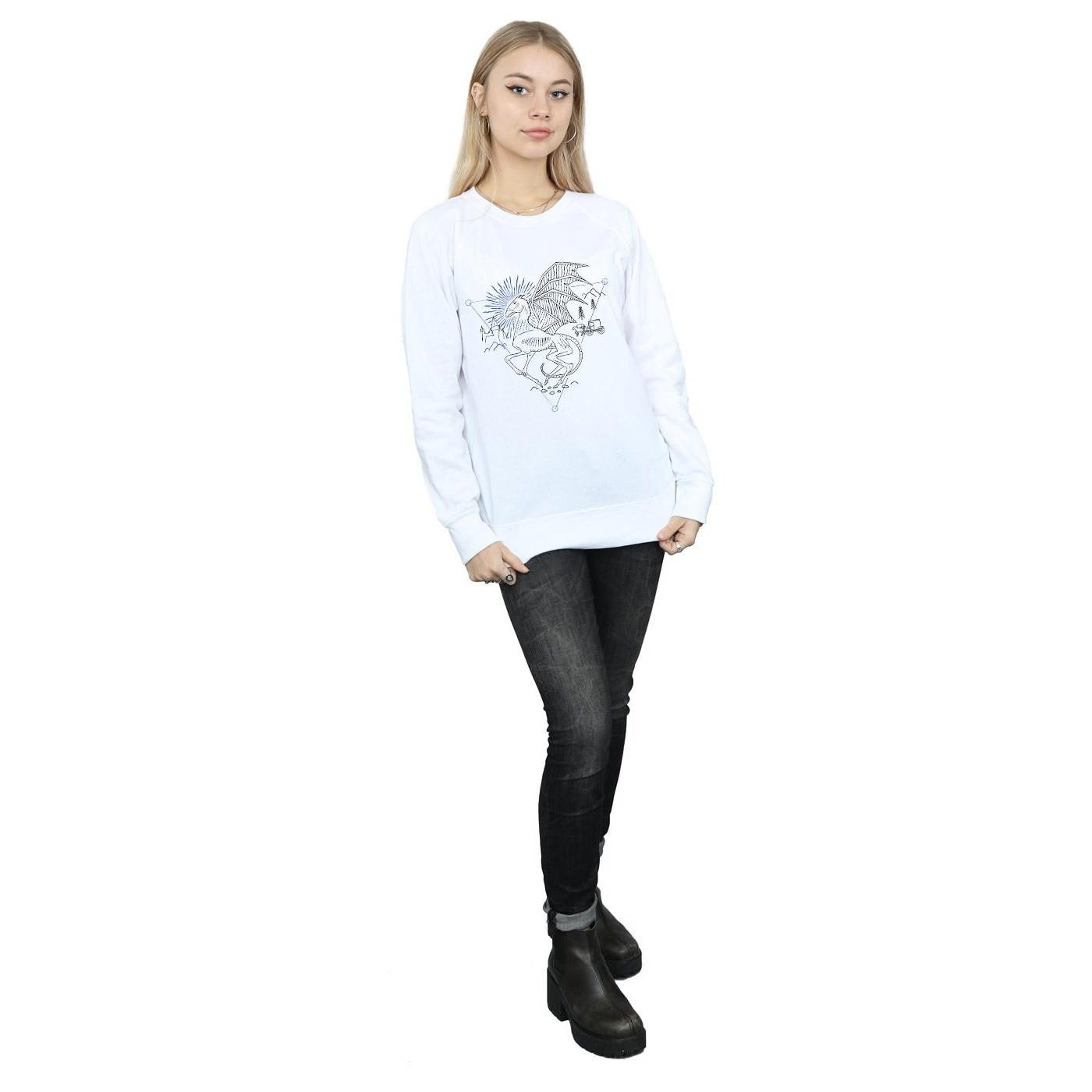 Harry Potter Thestral Regular Fit Sweatshirt  