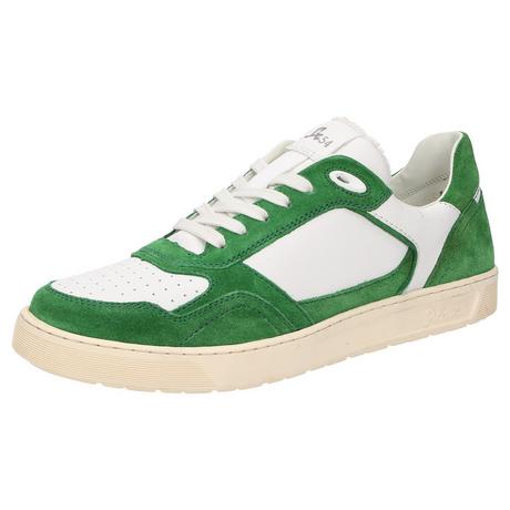 Sioux  Sneaker Tedroso-704 