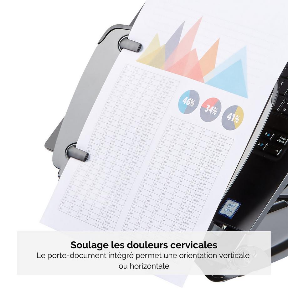 Fellowes  FELLOWES Laptop Station Pro Serie 8024602 4-fach USB Hub 