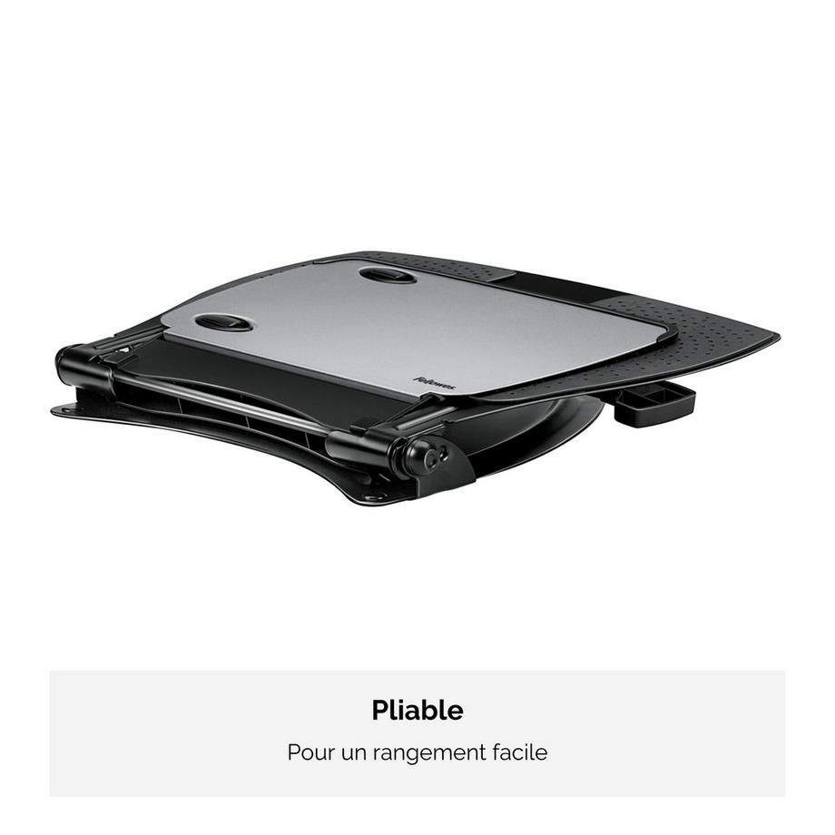 Fellowes  FELLOWES Laptop Station Pro Serie 8024602 4-fach USB Hub 