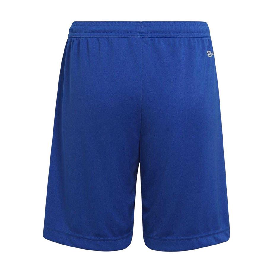 adidas  Short Entrada 