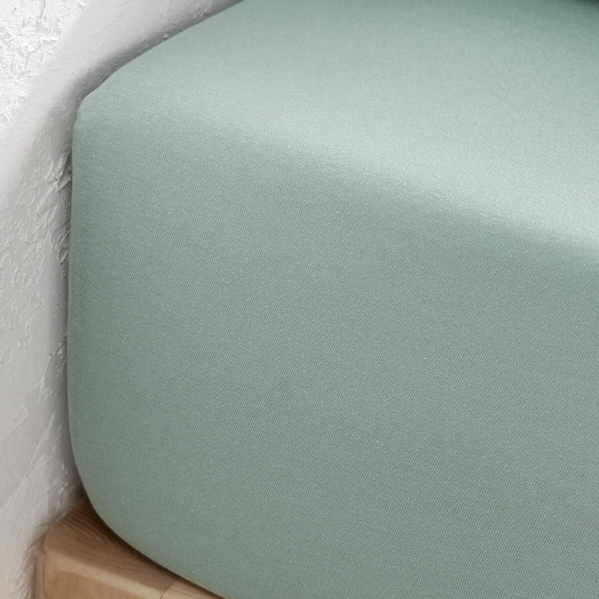 La Redoute Intérieurs Lenzuolo con angoli Scenario Jersey Cotone  