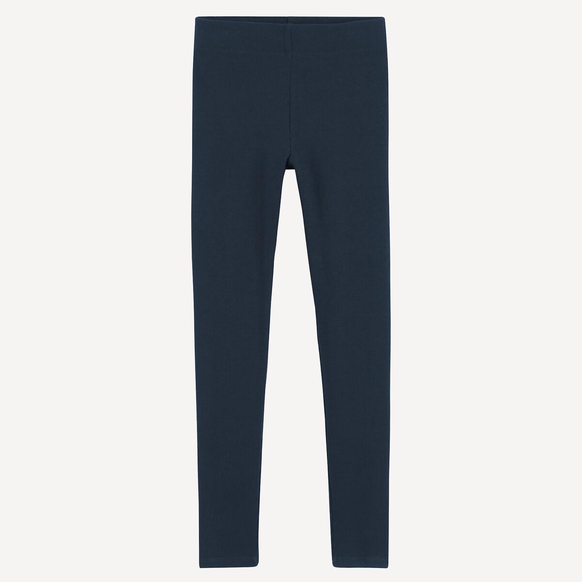 La Redoute Collections  Legging 