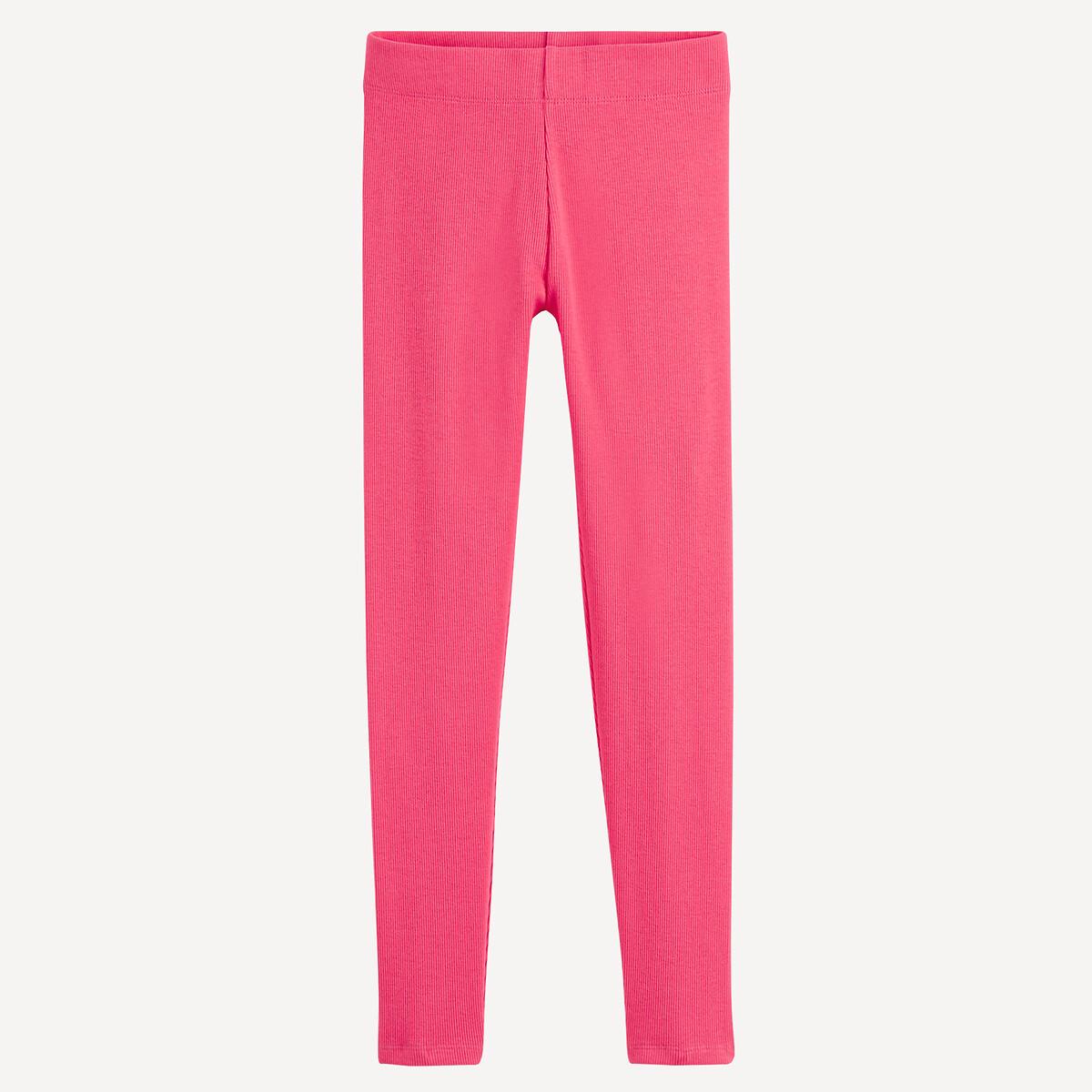 La Redoute Collections  Legging 