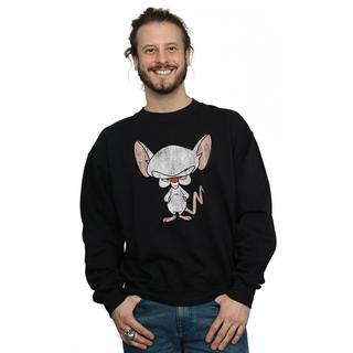 Animaniacs  Sweat 