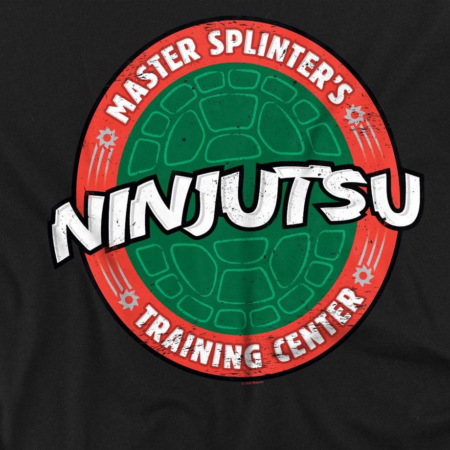 TEENAGE MUTANT NINJA TURTLE  T-ShirtNinjutsu School 
