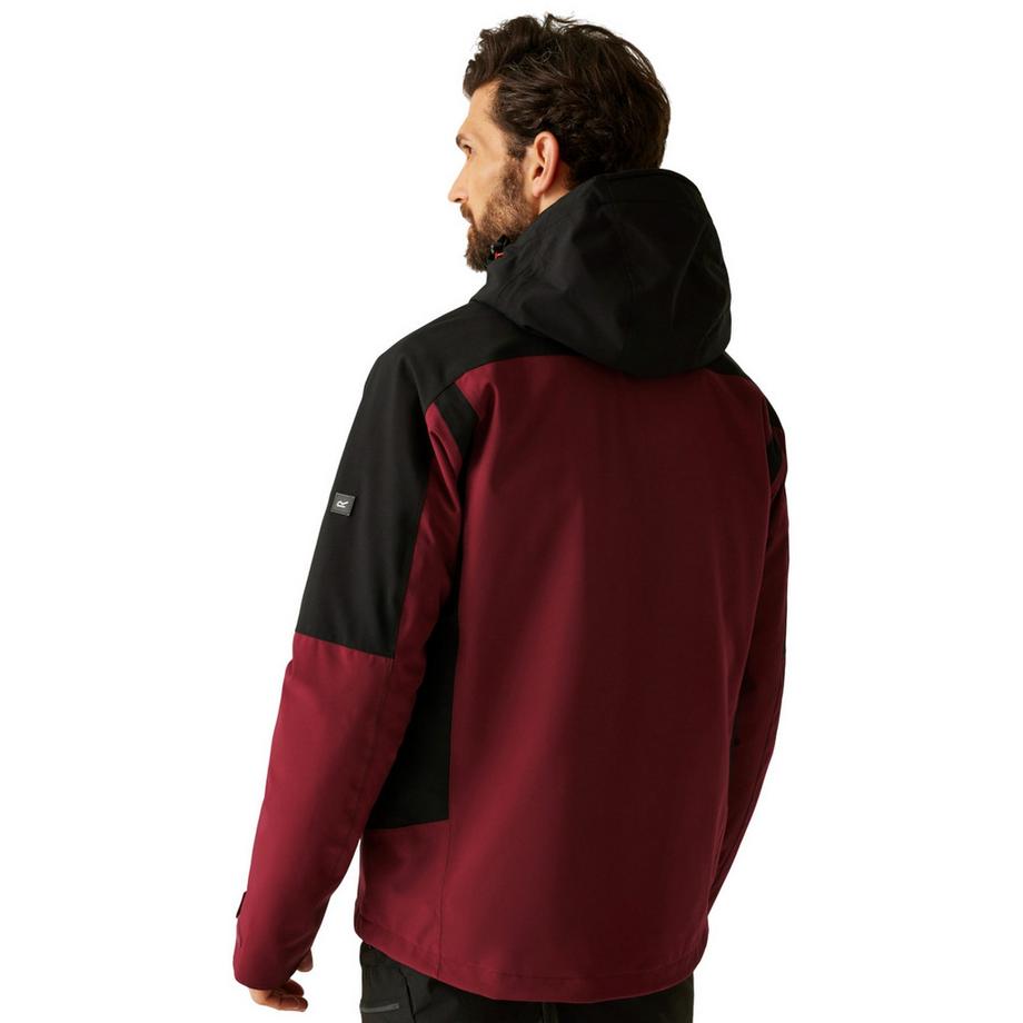 Regatta Veste Wentwood 3en1  