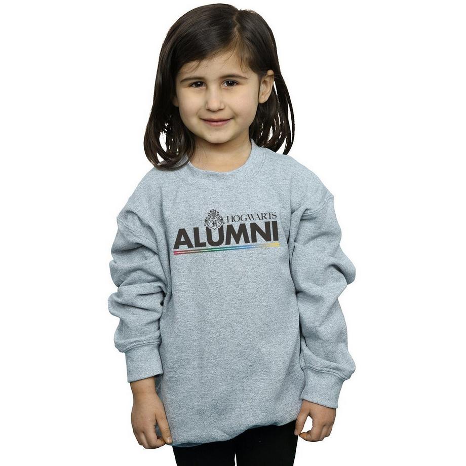 Harry Potter  Hogwarts Sweatshirt 
