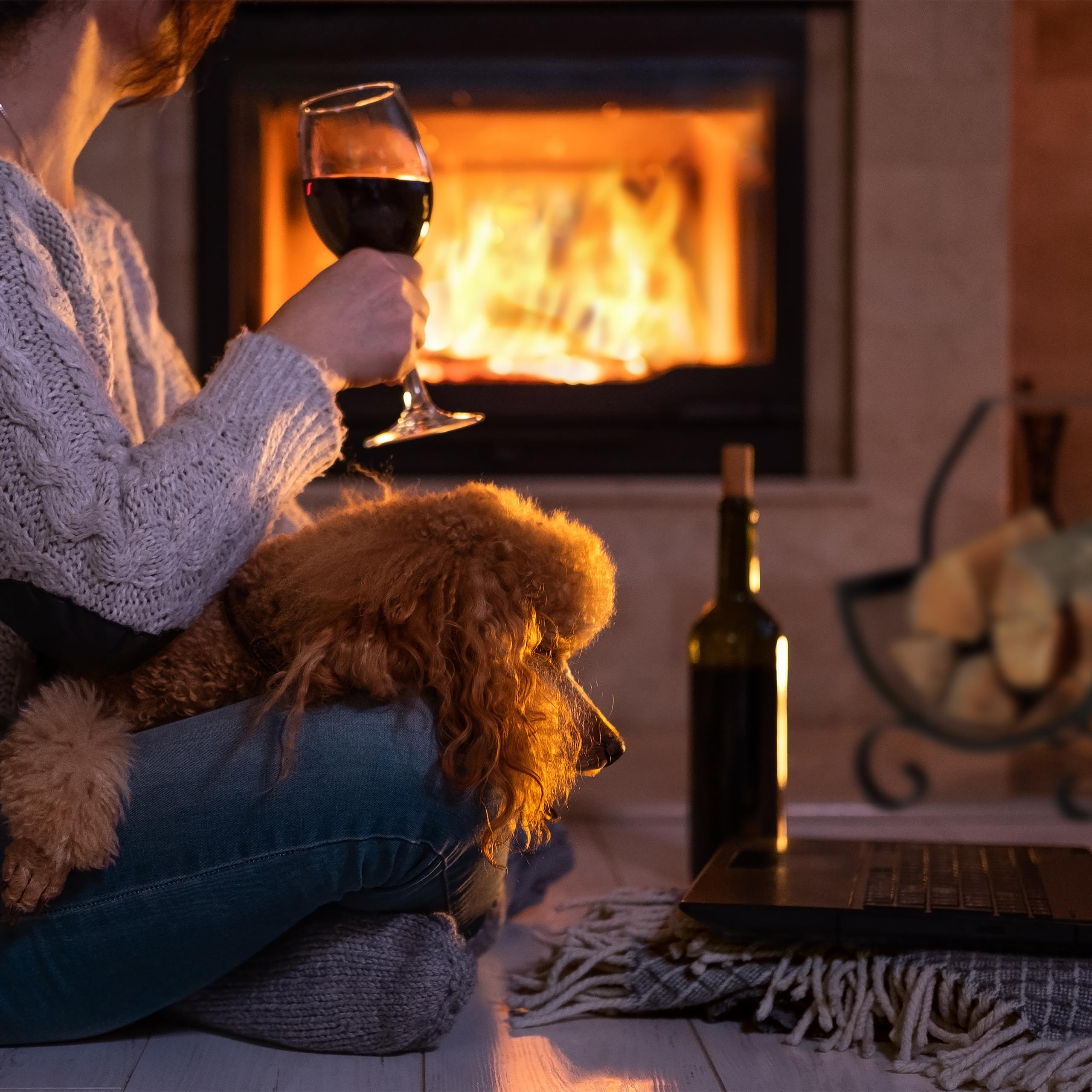 Northio Cesto porta legna nero  