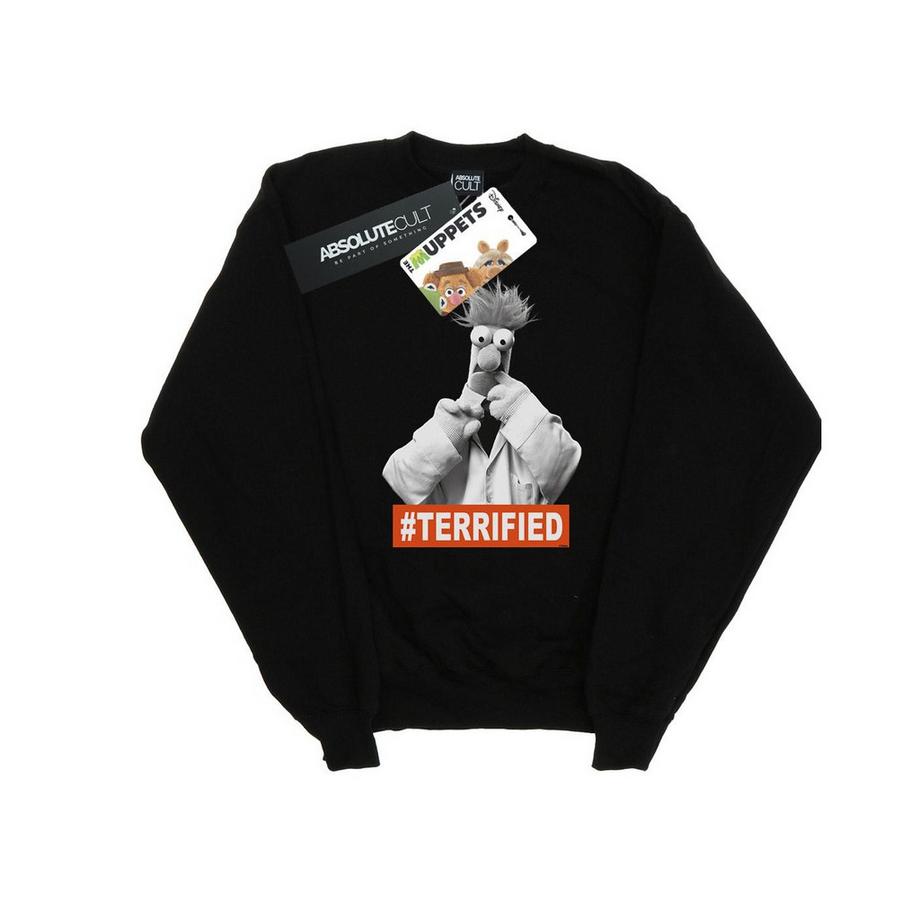 Sweat THE MUPPETS BEAKER TERRIFIED